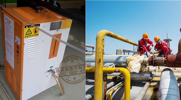 保溫養(yǎng)護蒸汽發(fā)生器