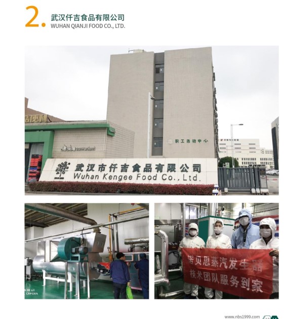 燃氣蒸汽發(fā)生器助力食品加工行業(yè)升級