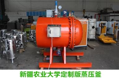 諾貝思蒸汽專家完成新疆農業(yè)大學定制蒸壓釜