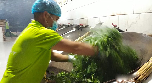 電氣化制茶成主流，蒸汽發(fā)生器讓制茶無(wú)煙化，實(shí)現(xiàn)零排放的環(huán)保目標(biāo)