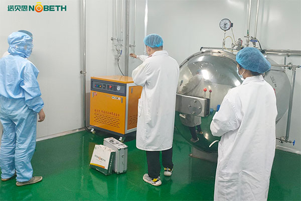 高溫高壓蒸汽機(jī)推薦，食品蒸汽滅菌用